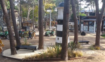 VIVERO MUNICIPAL ERRADIC UN BASURAL EN EL CENTRO DE MAR DE LAS PAMPAS